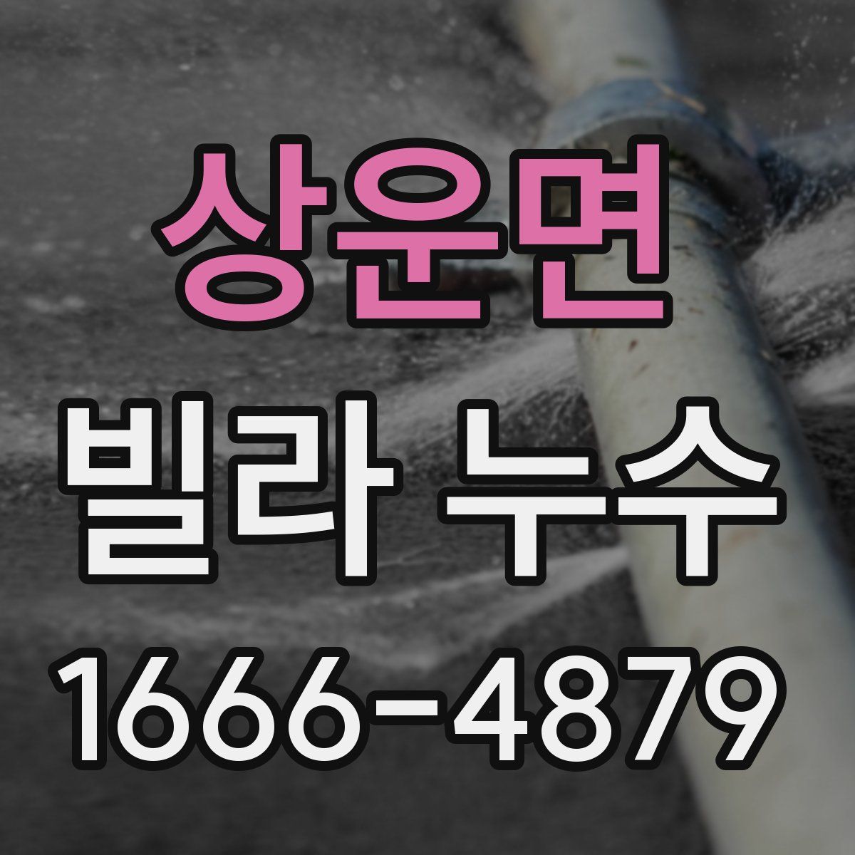 상운면 빌라 누수