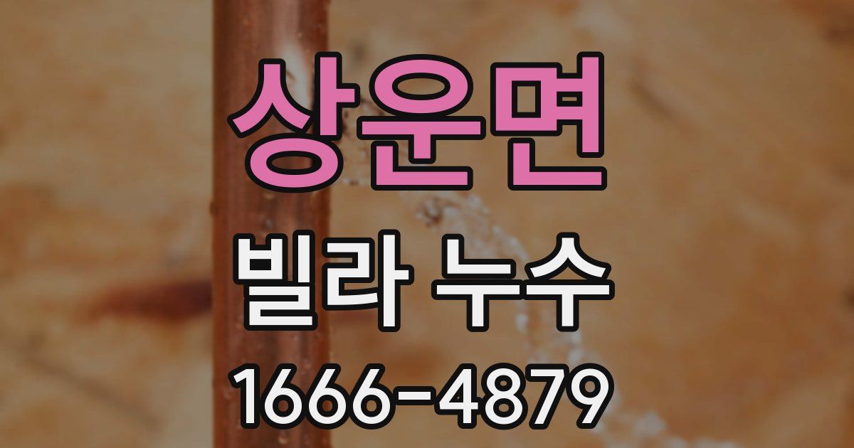 상운면 빌라 누수