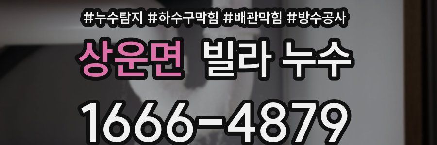 상운면 빌라 누수