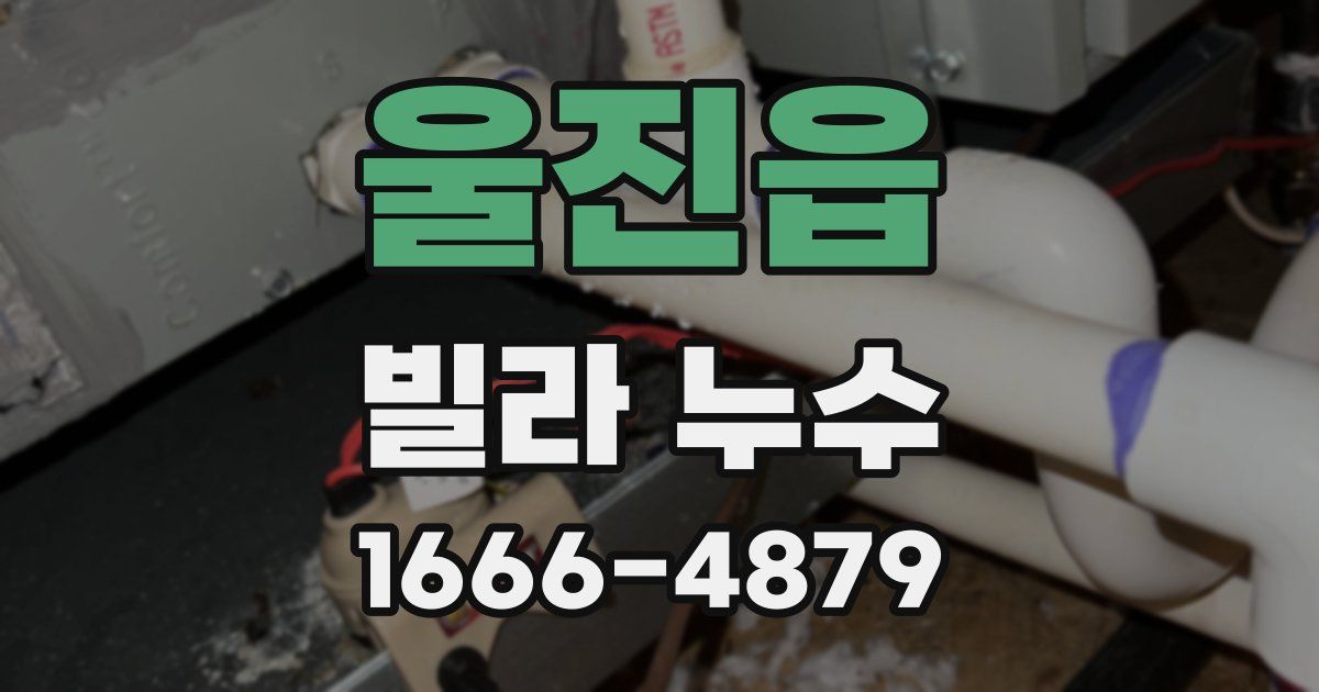 울진읍 빌라 누수