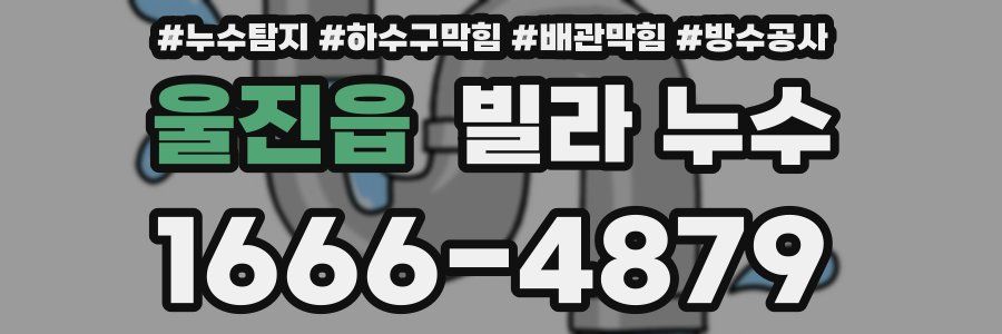 울진읍 빌라 누수