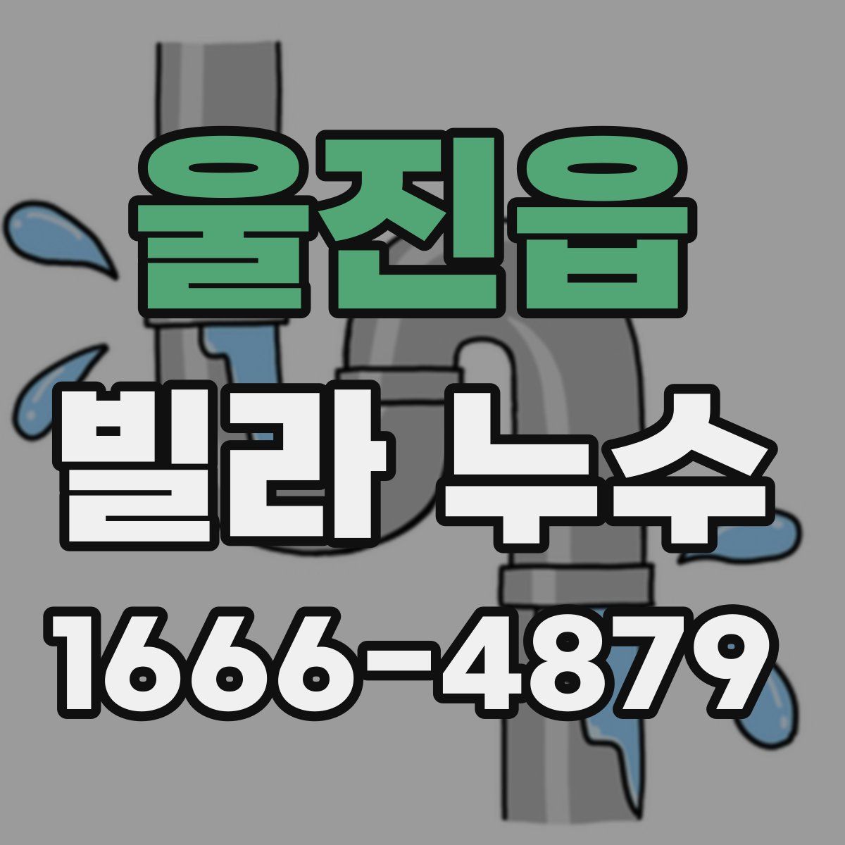 울진읍 빌라 누수