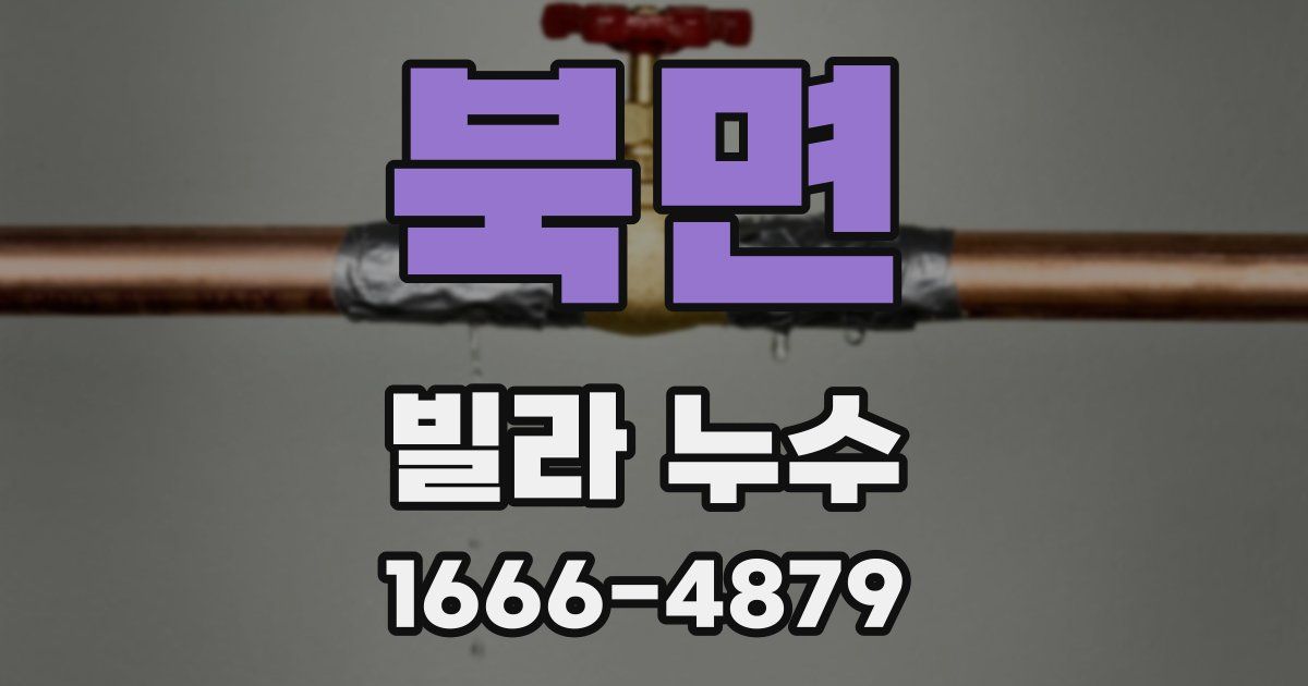 북면 빌라 누수