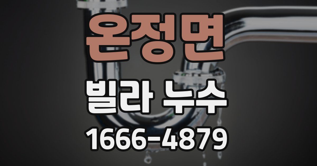 온정면 빌라 누수