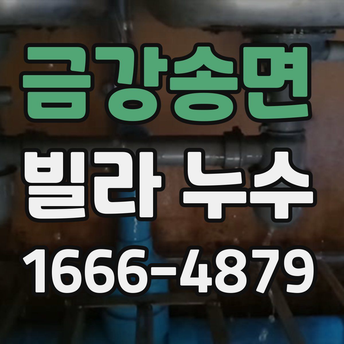 금강송면 빌라 누수