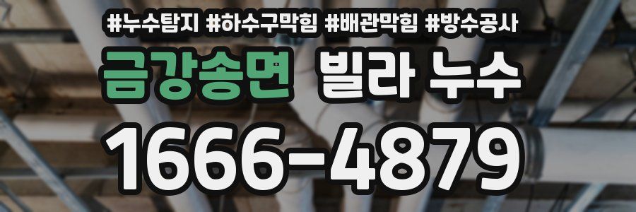 금강송면 빌라 누수