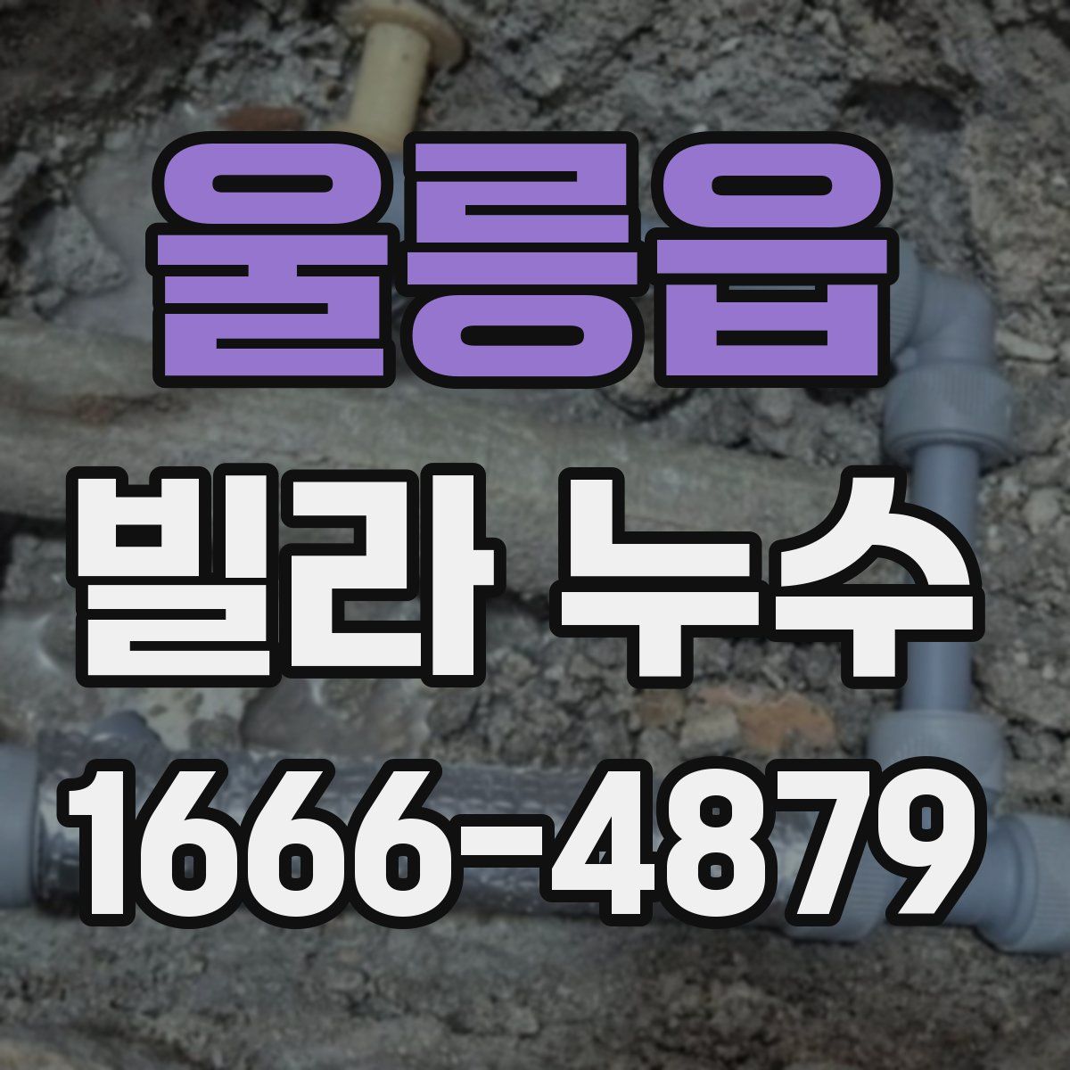 울릉읍 빌라 누수