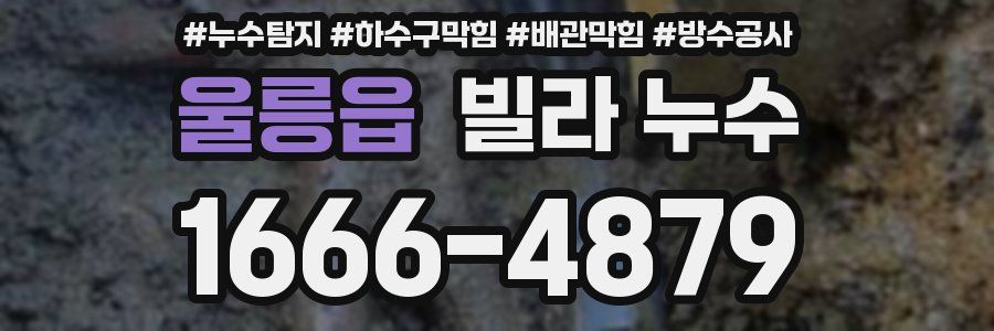 울릉읍 빌라 누수