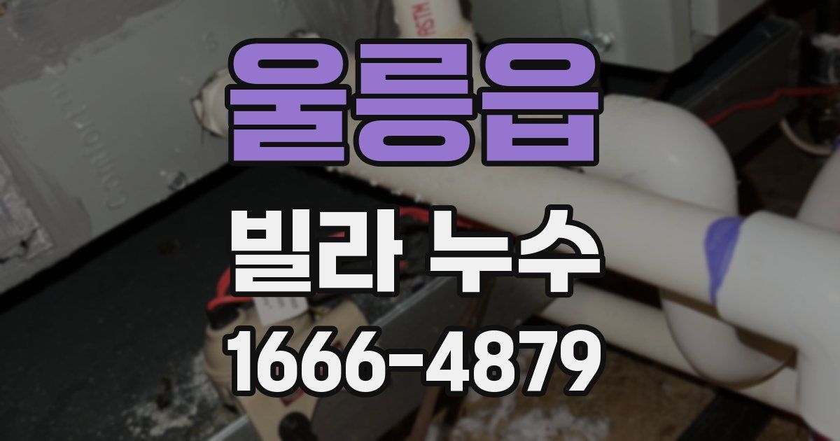 울릉읍 빌라 누수