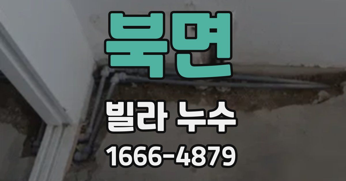 북면 빌라 누수