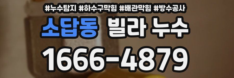 소답동 빌라 누수