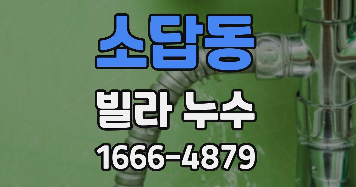소답동 빌라 누수