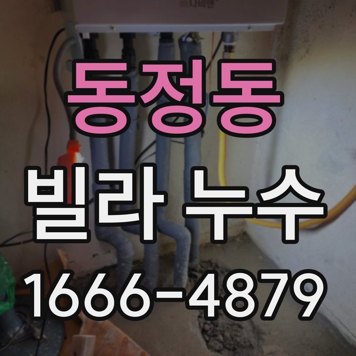 동정동 빌라 누수