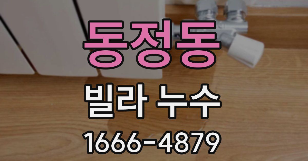 동정동 빌라 누수