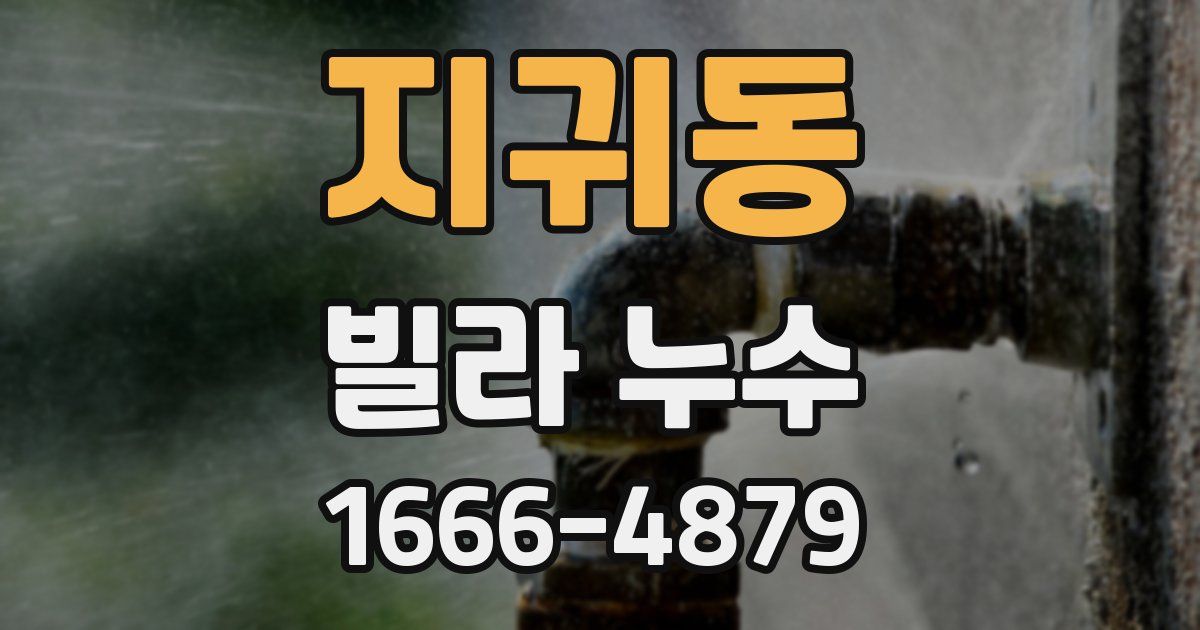지귀동 빌라 누수