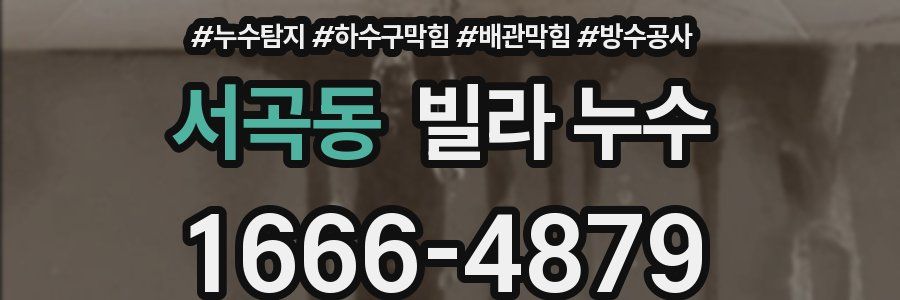 서곡동 빌라 누수