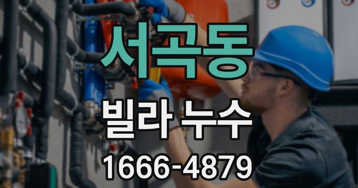 서곡동 빌라 누수