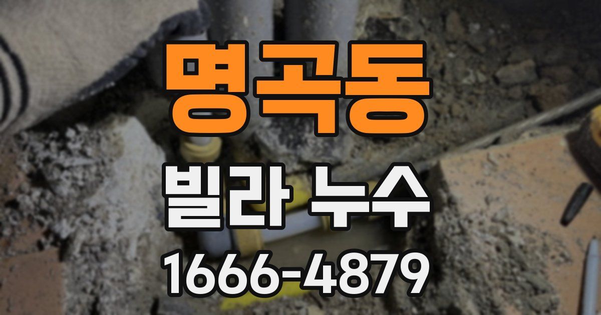 명곡동 빌라 누수