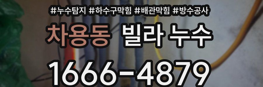 차용동 빌라 누수
