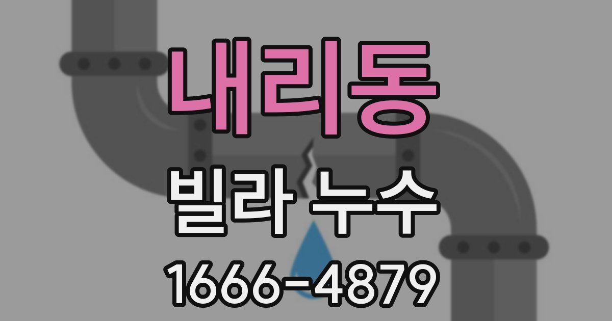 내리동 빌라 누수