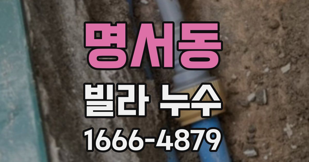 명서동 빌라 누수