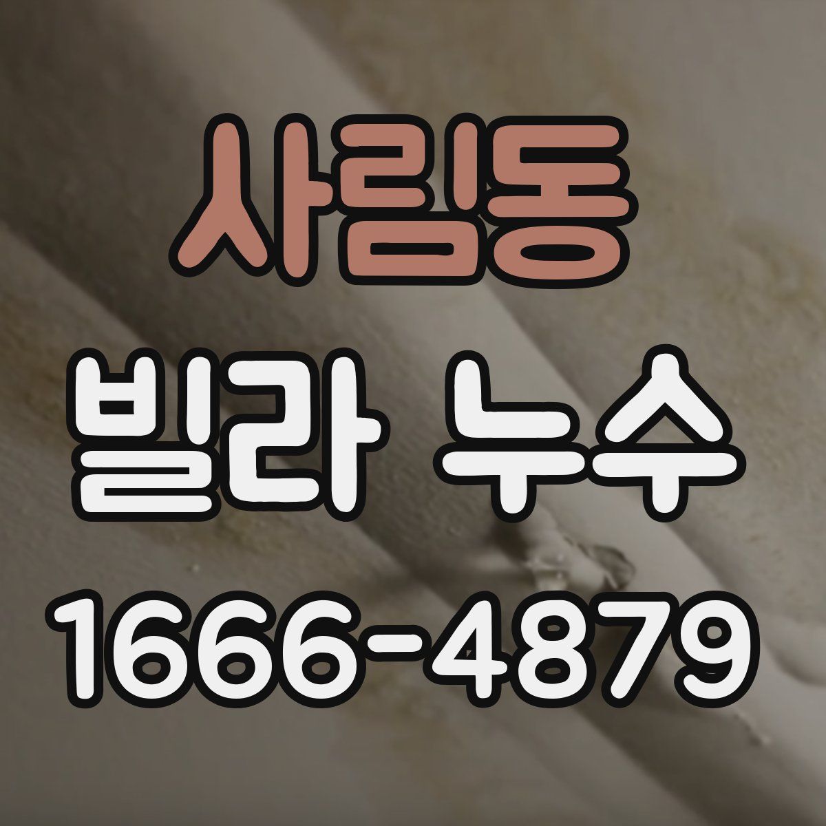 사림동 빌라 누수