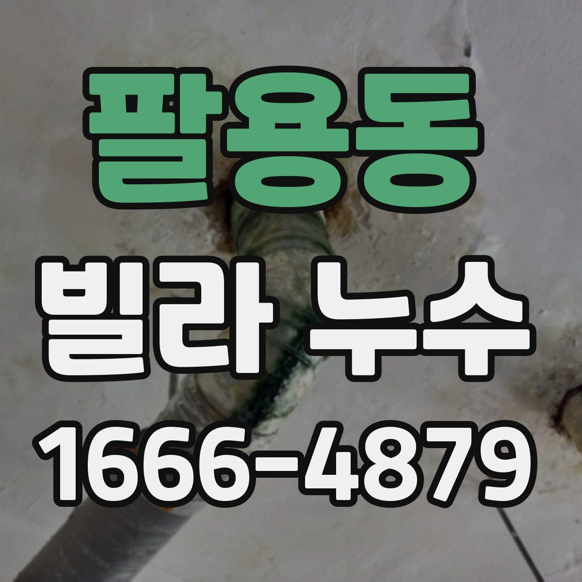 팔용동 빌라 누수