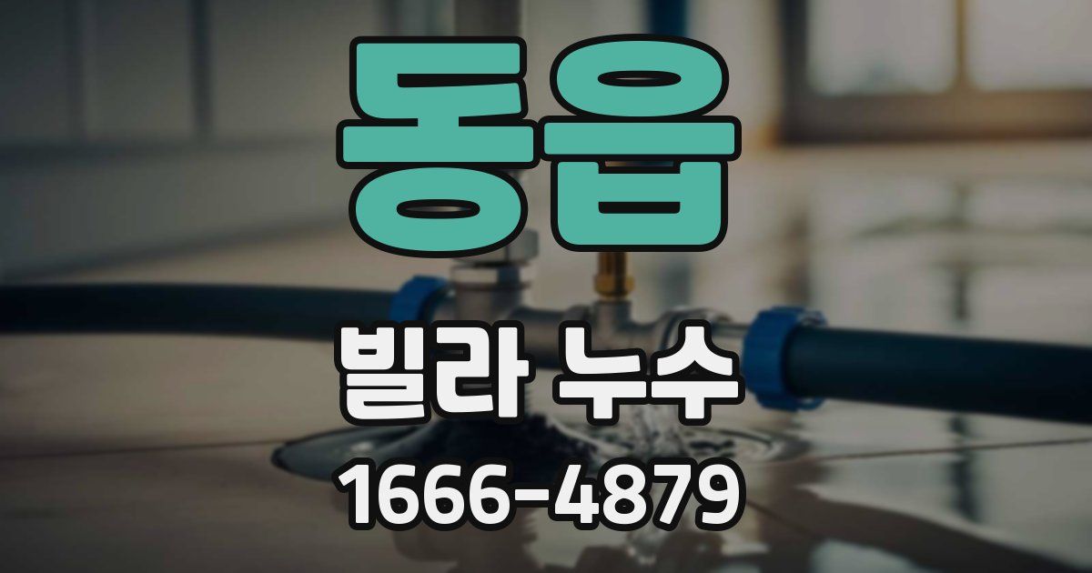 동읍 빌라 누수