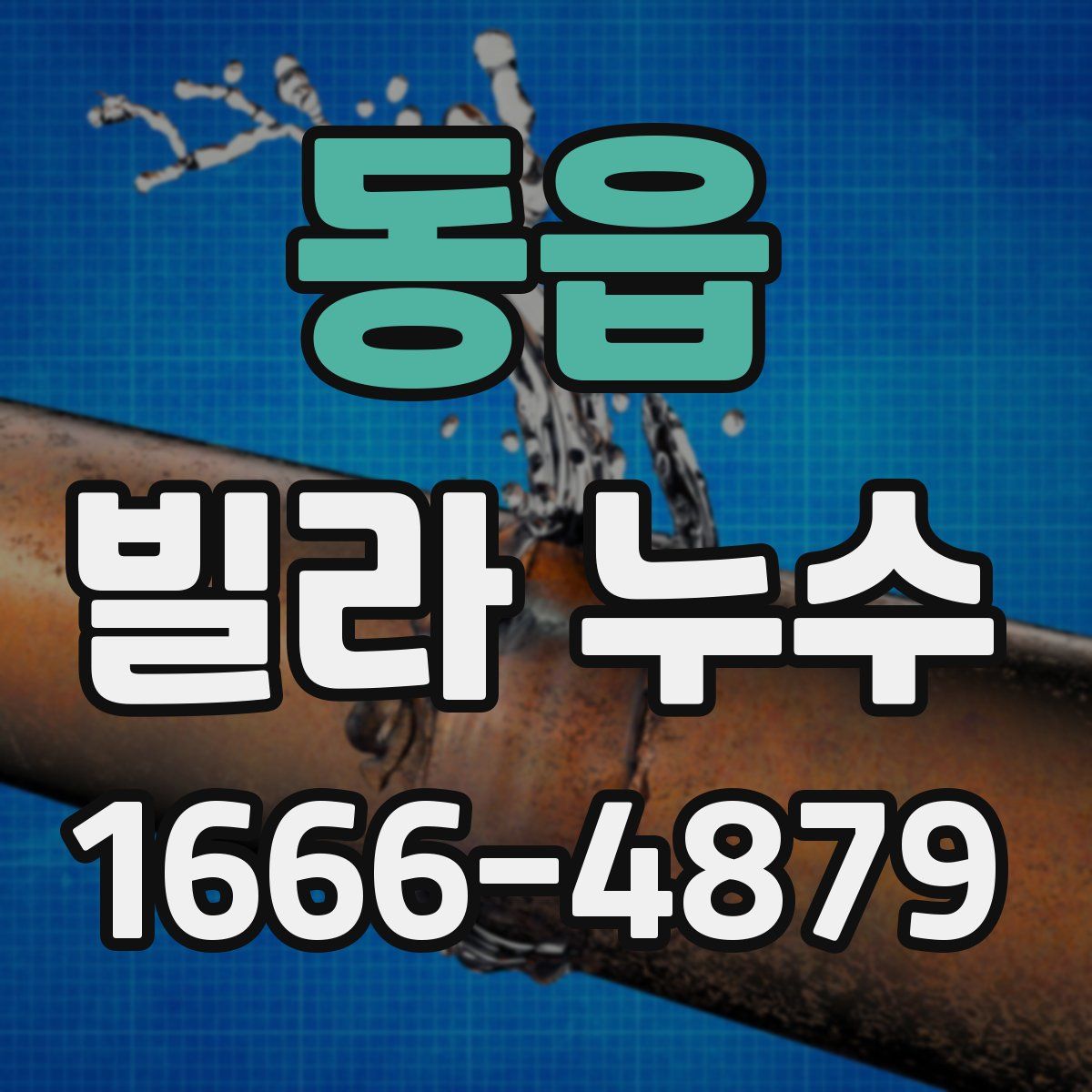 동읍 빌라 누수