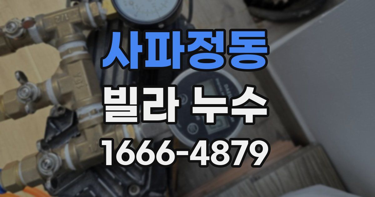 사파정동 빌라 누수