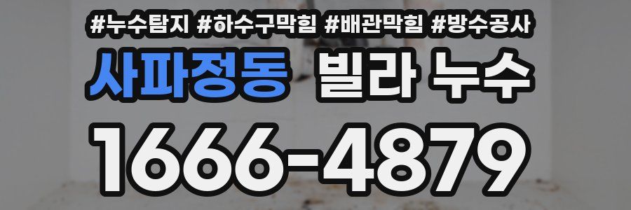 사파정동 빌라 누수