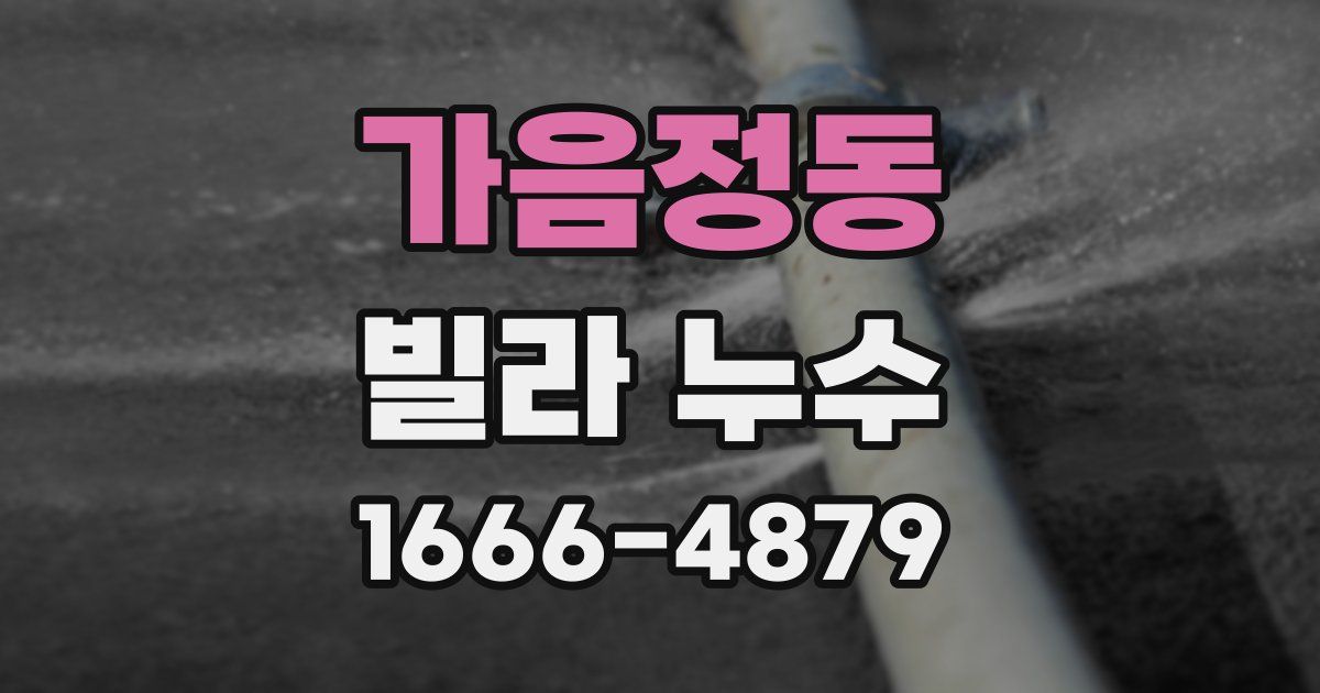 가음정동 빌라 누수