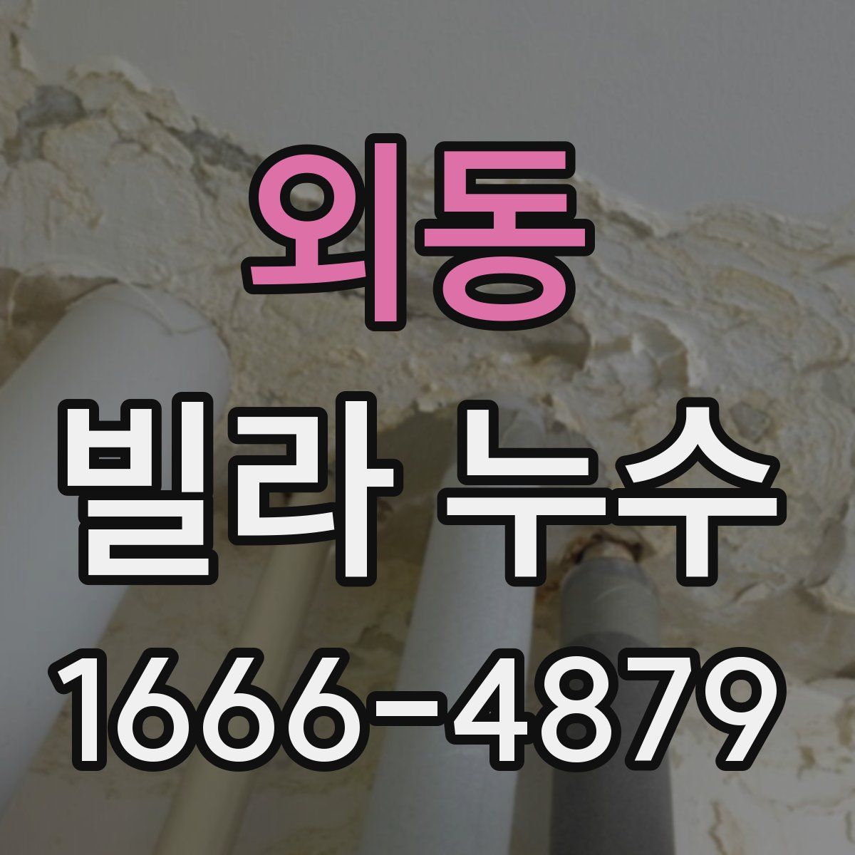 외동 빌라 누수