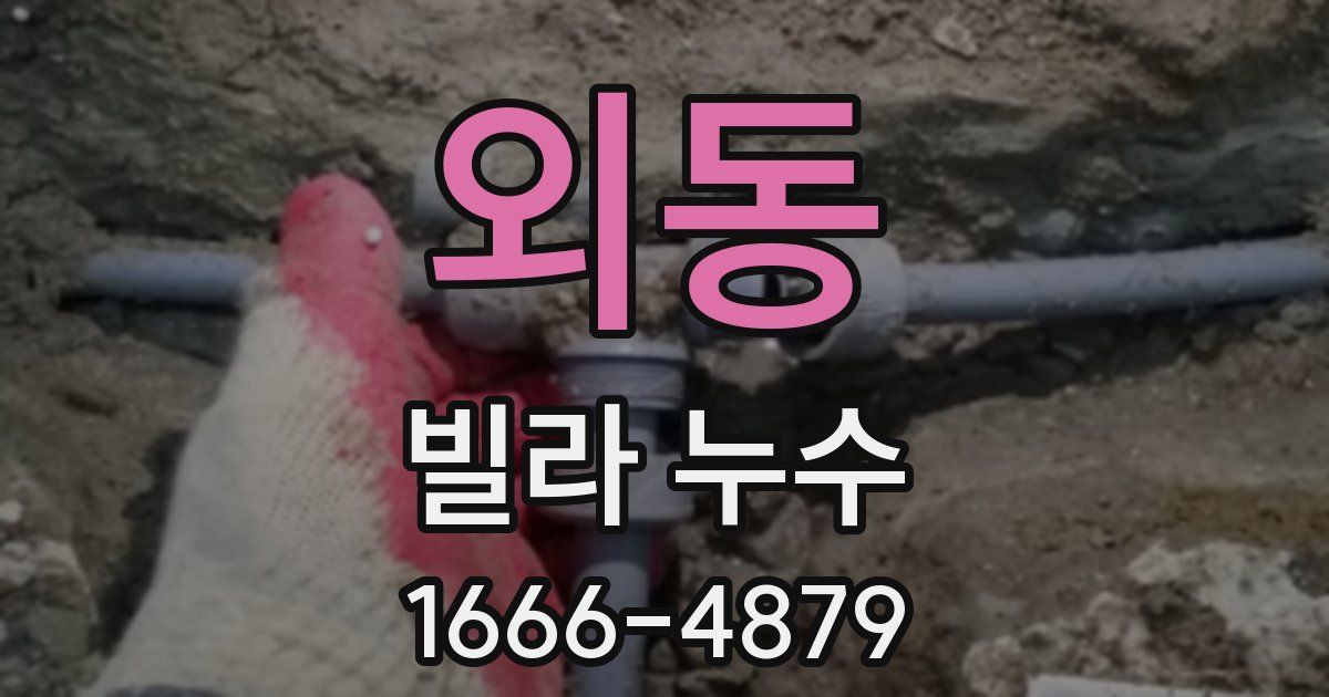 외동 빌라 누수