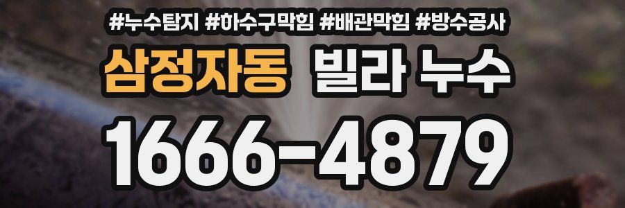삼정자동 빌라 누수