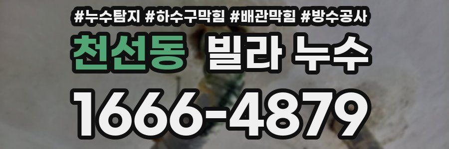 천선동 빌라 누수