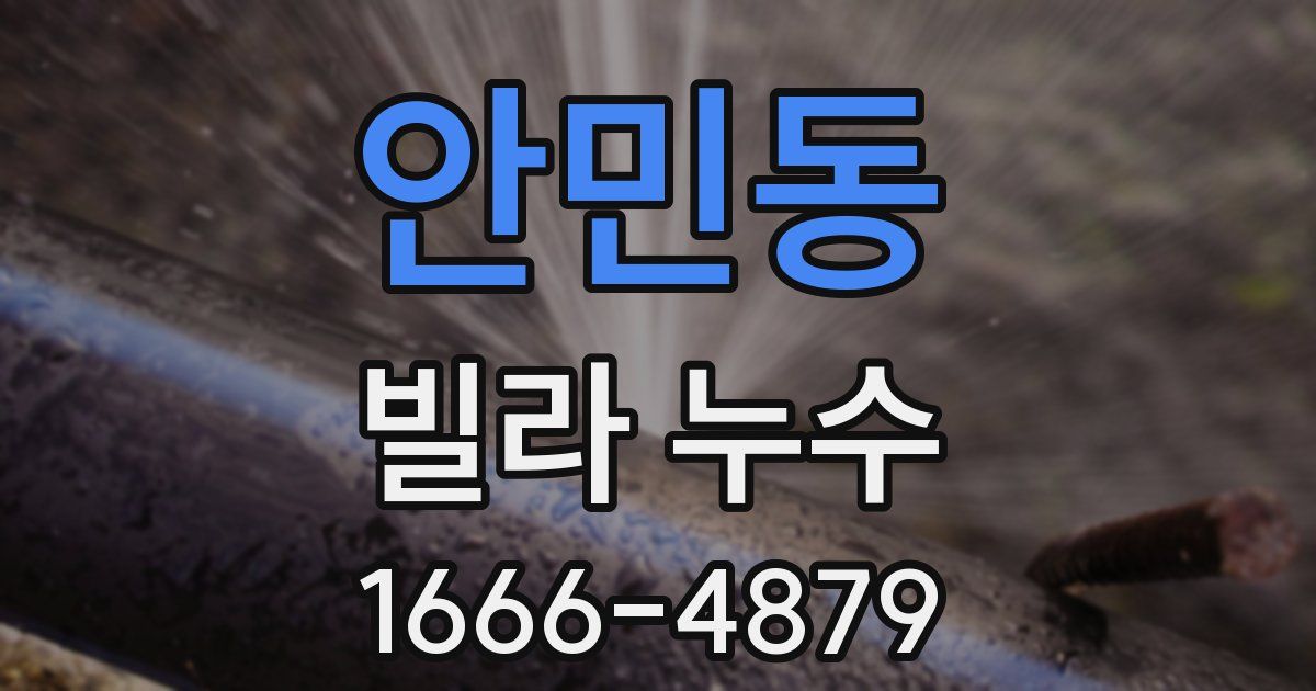 안민동 빌라 누수
