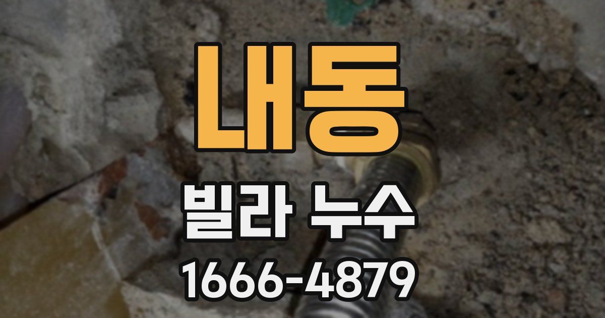 내동 빌라 누수