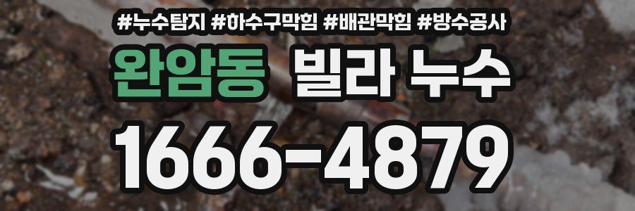 완암동 빌라 누수