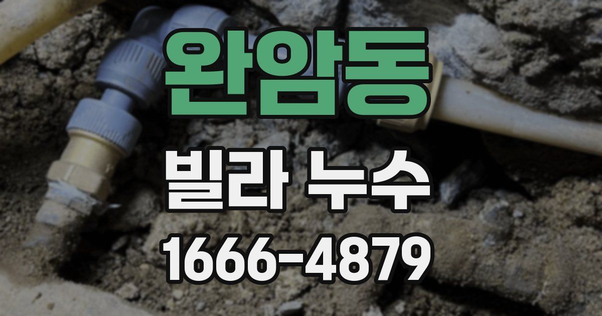 완암동 빌라 누수