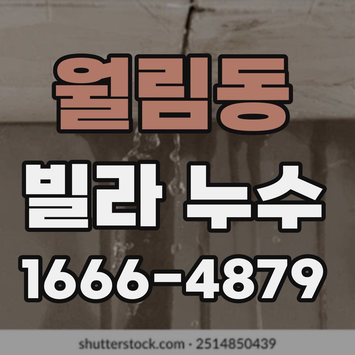 월림동 빌라 누수