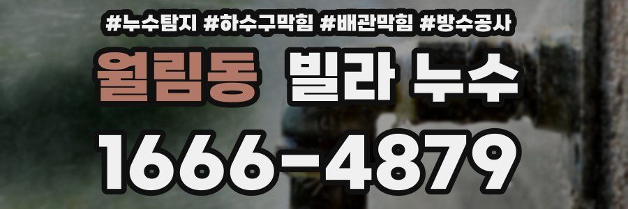 월림동 빌라 누수