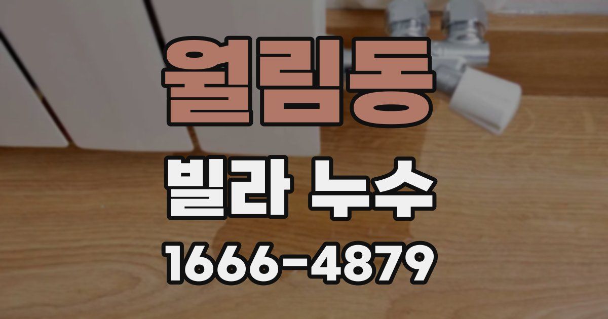 월림동 빌라 누수