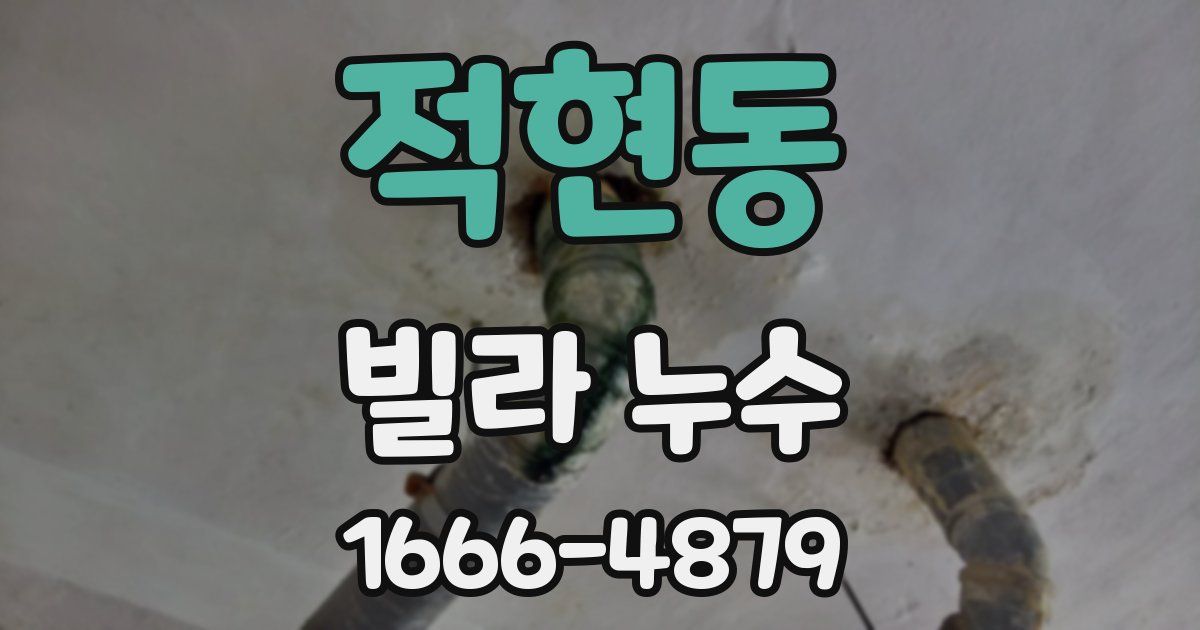 적현동 빌라 누수