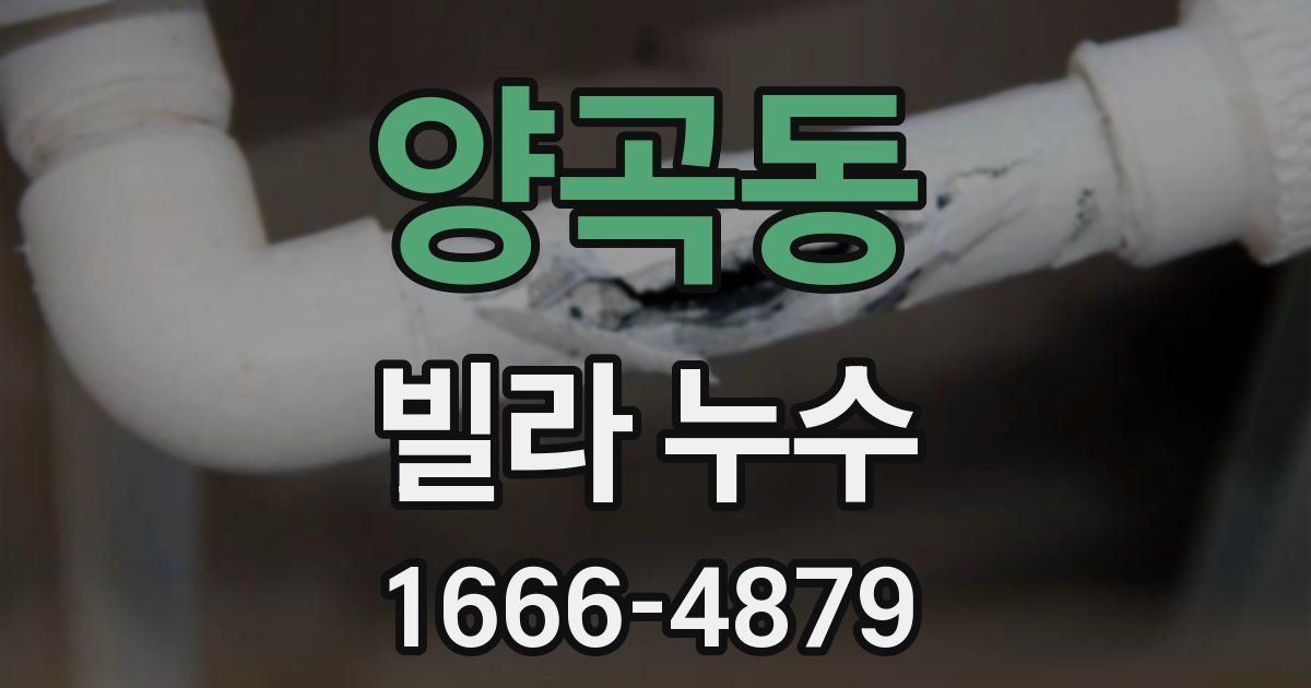 양곡동 빌라 누수