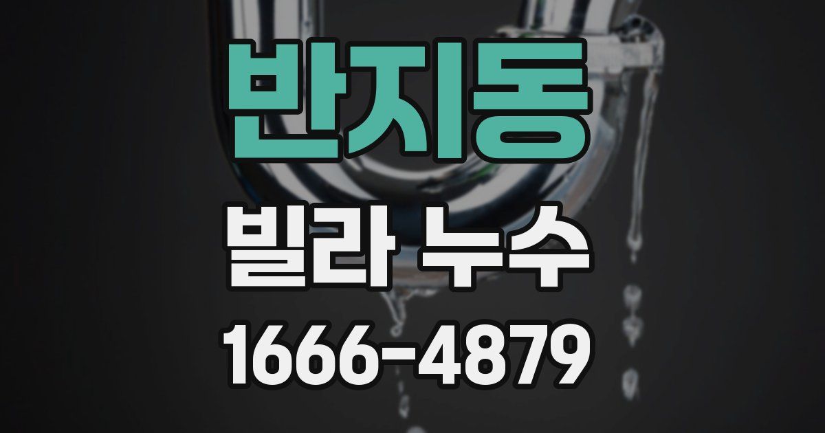 반지동 빌라 누수