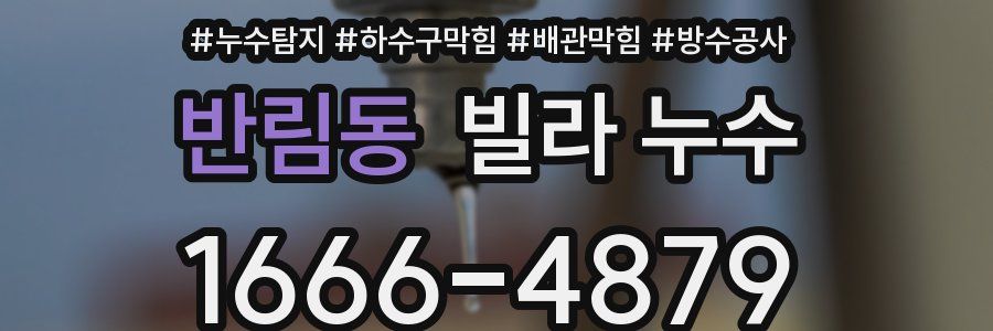 반림동 빌라 누수