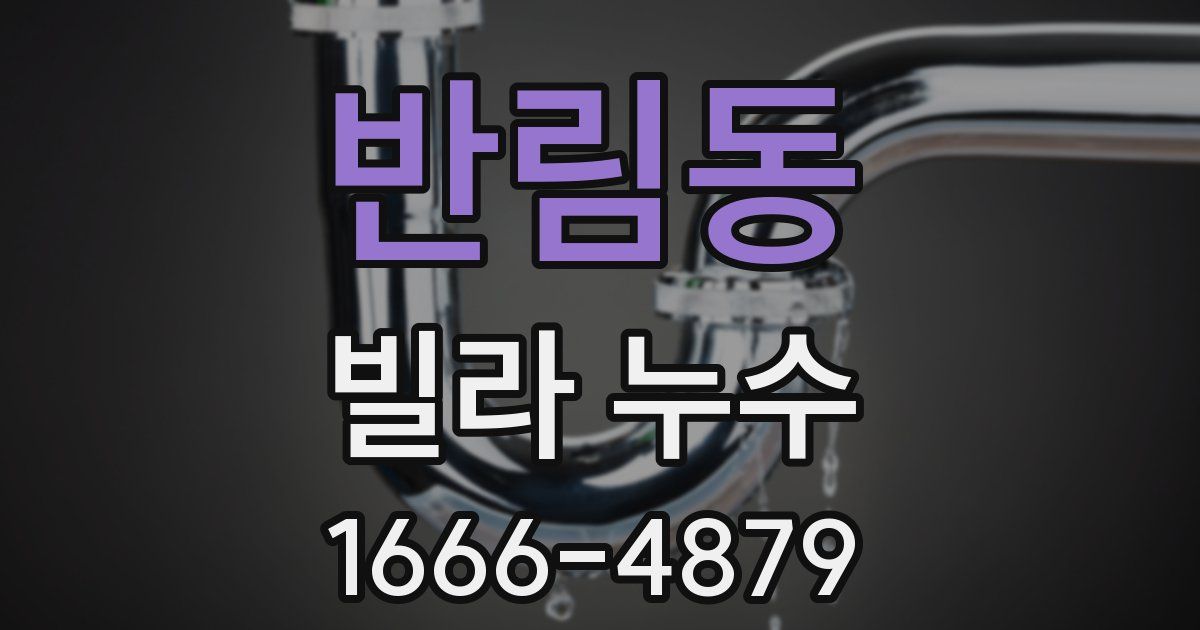 반림동 빌라 누수