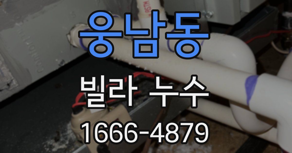 웅남동 빌라 누수
