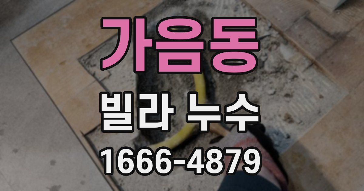 가음동 빌라 누수